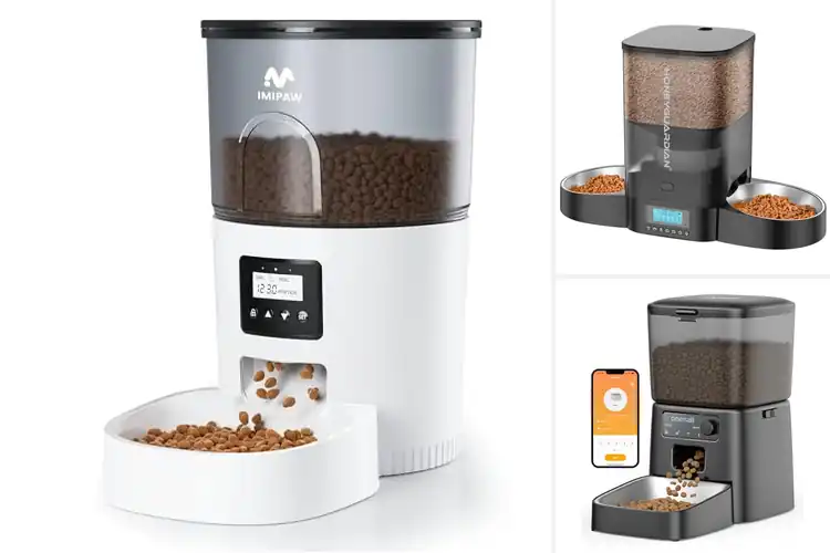 Detailed view of Best 3.5 Liter Cat Feeders: Simplify Mealtime with Top Picks