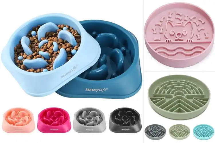 Detailed view of Best Anti-Choking Bowls: Top 10 Picks for Safer Pet Feeding