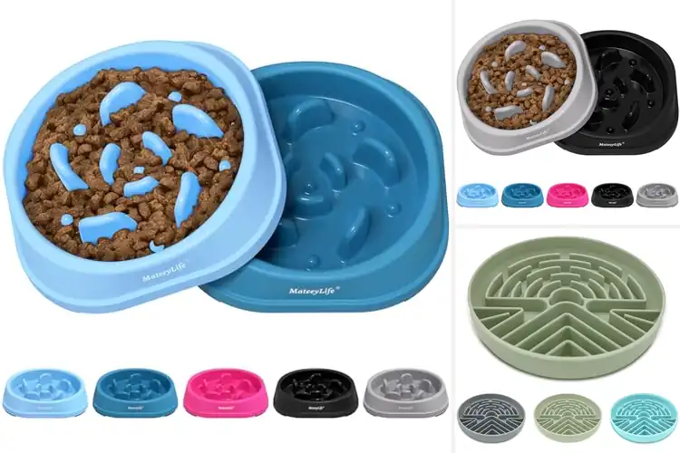 Detailed view of Best Anti Choking Cat Feeder: Top 10 Picks for Safe Feeding