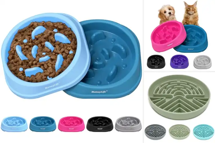 Detailed view of Best Anti-Choking Cat Feeders : Slow Meals, Happy Cat