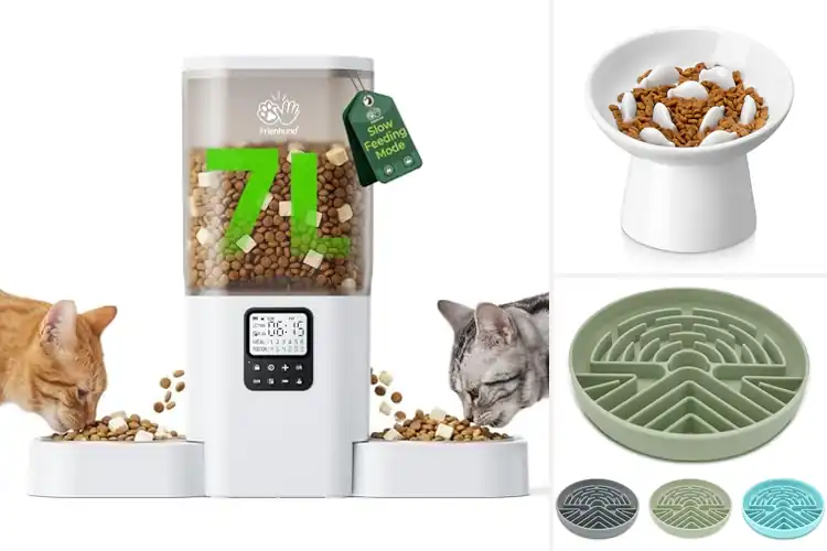 Detailed view of Best Anti-Tip Cat Feeder