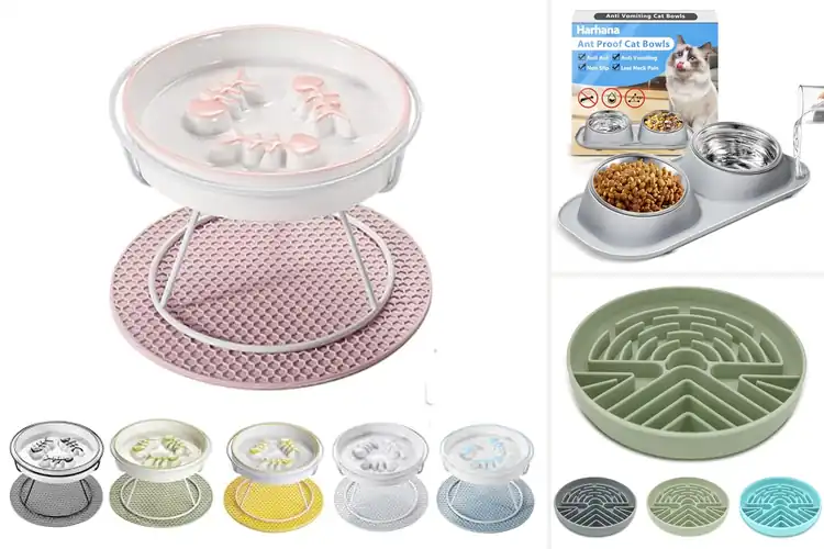 Detailed view of Best Anti Tip Cat Feeders: Top 10 Picks for Mess-Free Meals
