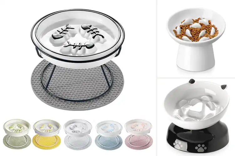Detailed view of Best Anti Vomit Cat Feeder