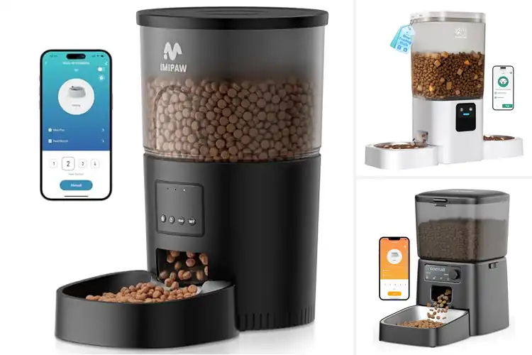 Detailed view of Best App Controlled Feeders