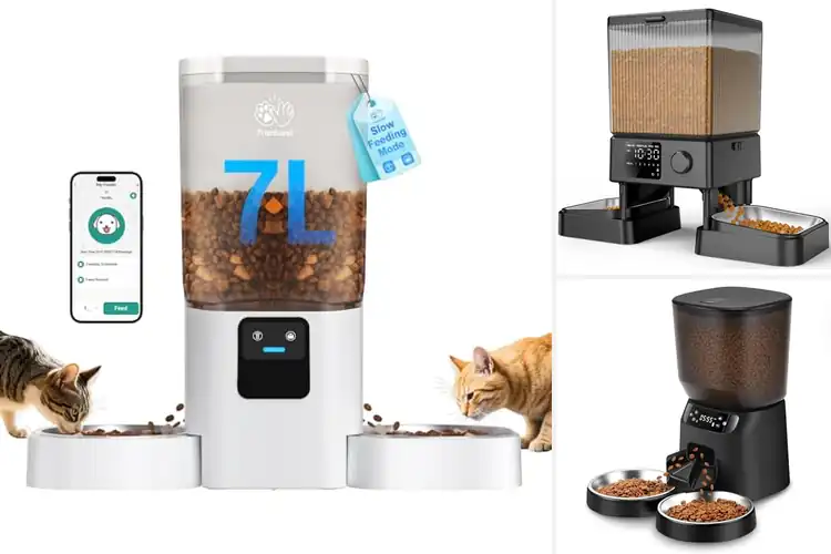 Detailed view of Best Automatic Cat Feeder For Two Cats