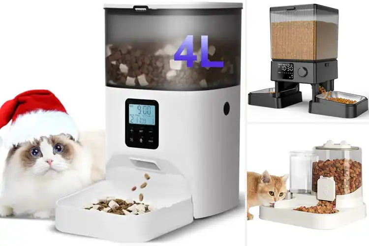 Detailed view of Best Automatic Cat Feeder