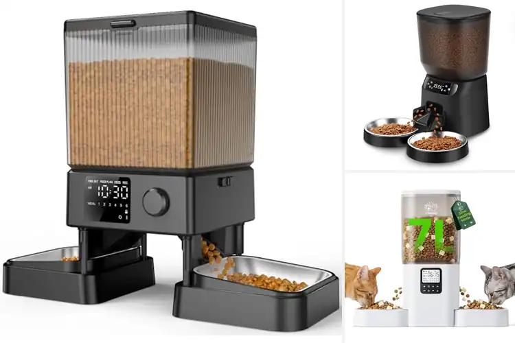 Detailed view of Best Automatic Cat Feeders for Two Cats
