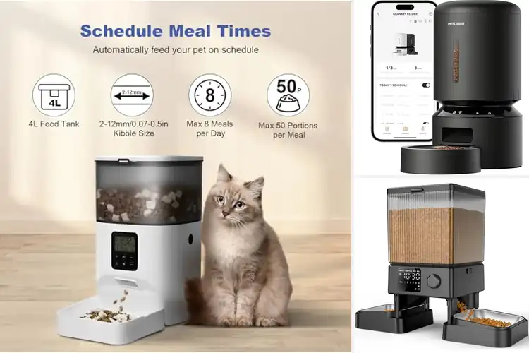 Detailed view of Best Automatic Cat Feeders