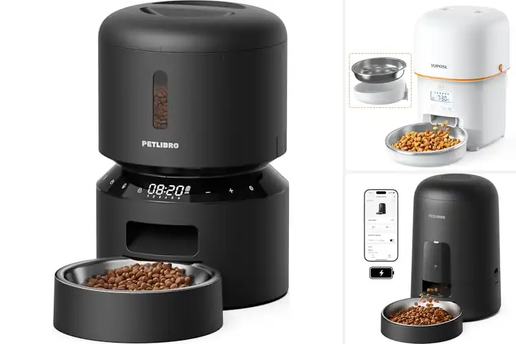 Detailed view of Best Battery Backup Cat Feeders