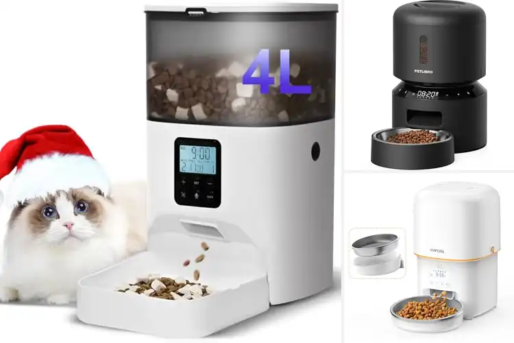 Detailed view of Best Battery Backups Pet Feeders for Uninterrupted Meals