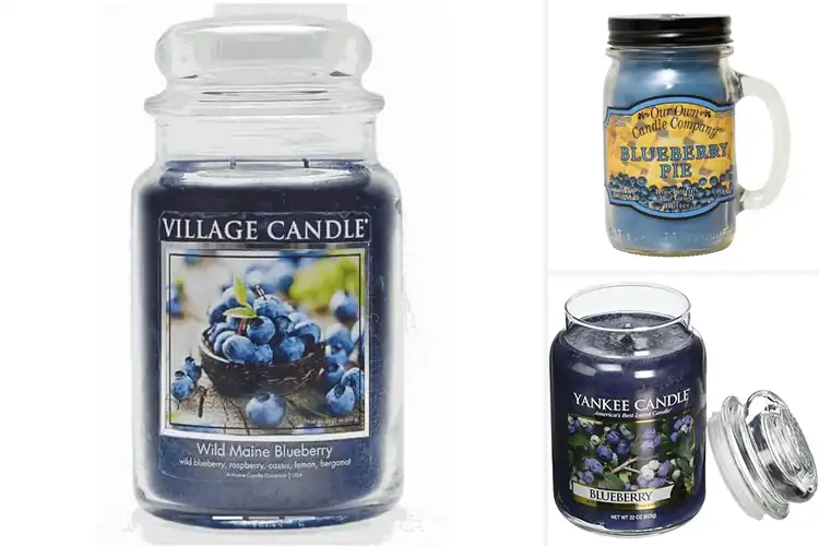 Detailed view of Best Blueberry Scented Candles