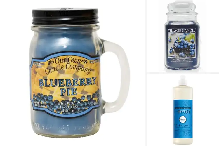 Detailed view of Best Blueberry Scented Products