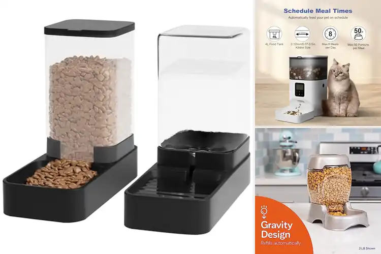 Detailed view of Best Cat Food Dispensers: Top Picks for Happy, Healthy Cats