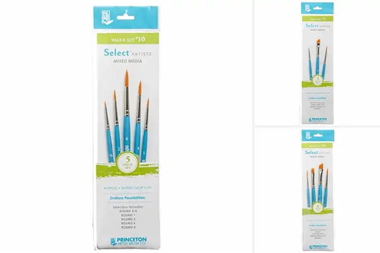 Detailed view of Best Complete Artiste Brush Collection
