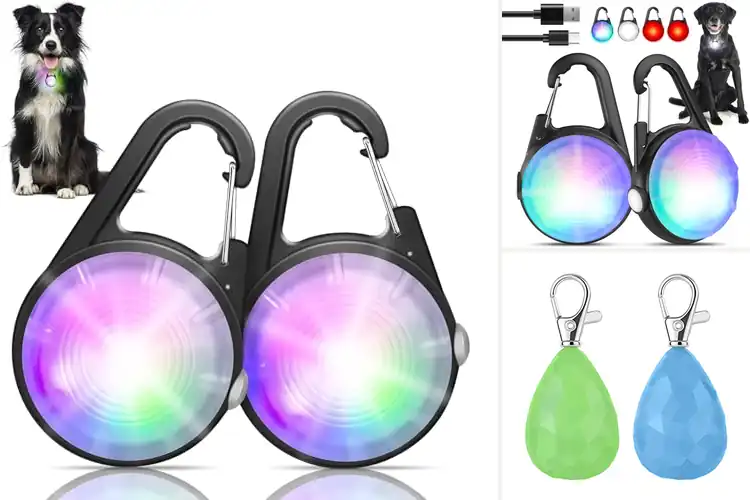 Detailed view of Best Dog Collar Lights: Top 10 Picks for Safe Night Walks