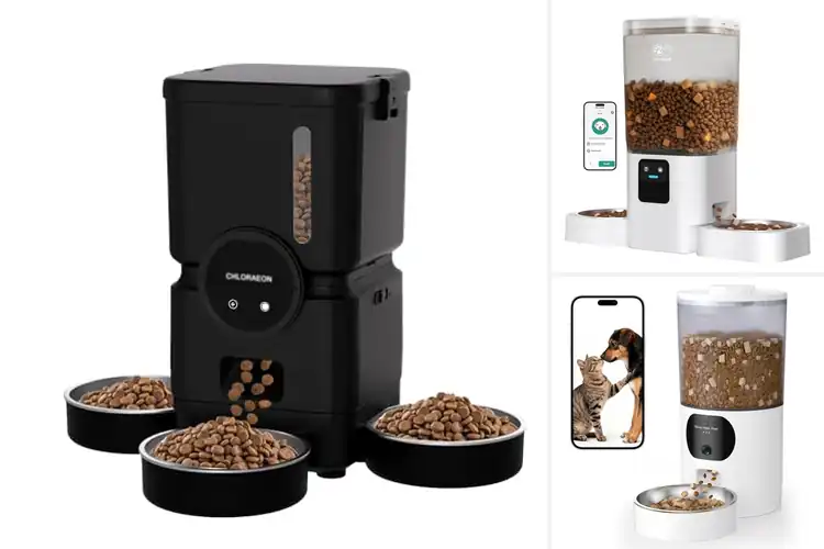 Detailed view of Best Dual Band WiFi Feeders: Smart Pet Feeding Solutions