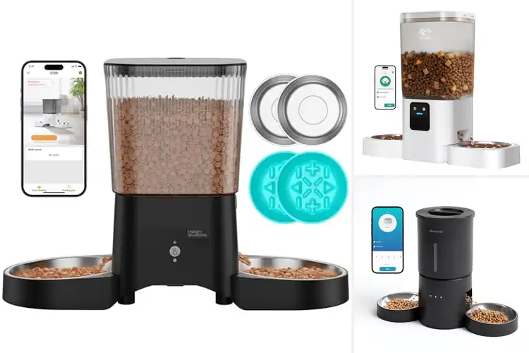 Detailed view of Best Dual Bowls Auto Feeder: Top 10 Picks for Happy Cats