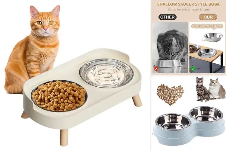 Detailed view of Best Dual Cat Bowls: Top 10 Picks for Happy, Healthy Cats