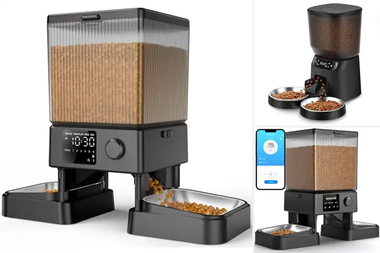 Detailed view of Best Dual Cat Feeders