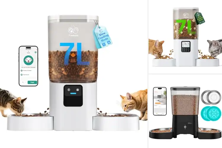 Detailed view of Best Dual Cat Feeding Stations