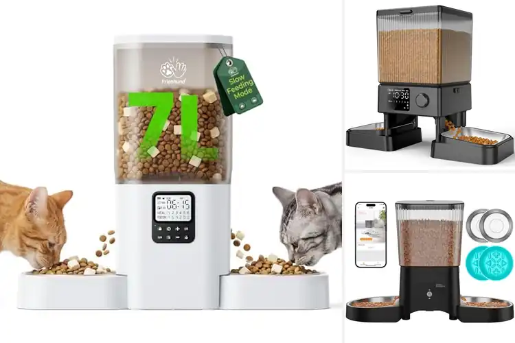 Detailed view of Best Dual Cat Food Dispensers