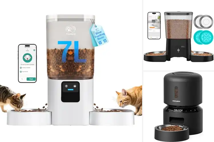 Detailed view of Best Dual Power Cat Feeder: Top Picks for Reliable Feeding