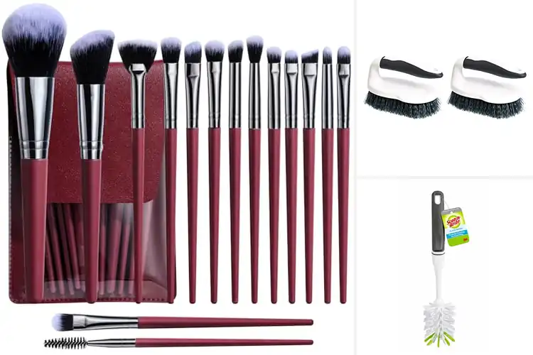 Detailed view of Best Durable Affordable Brushes