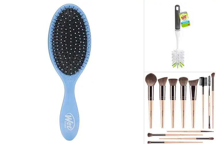 Detailed view of Best Durable And Affordable Brush