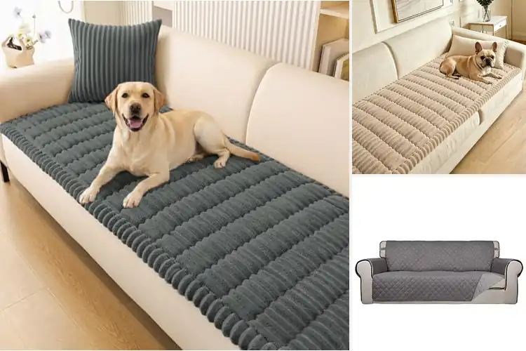 Detailed view of Best Durable Washable Cover: 10 Pet-Friendly, Stylish Picks