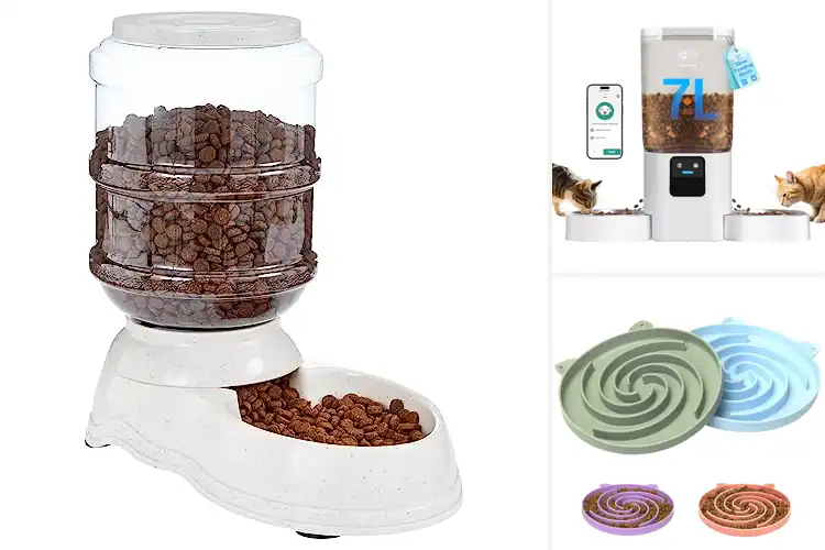 Detailed view of Best Easy Clean Cat Feeder