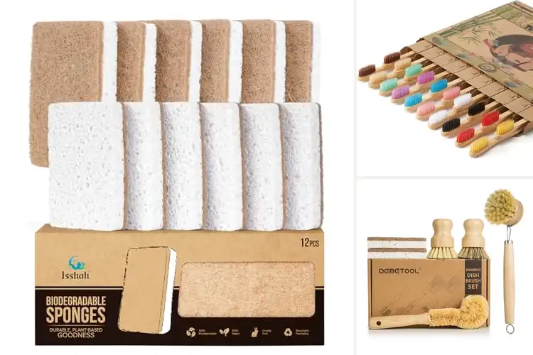 Detailed view of Best Eco-Friendly Products