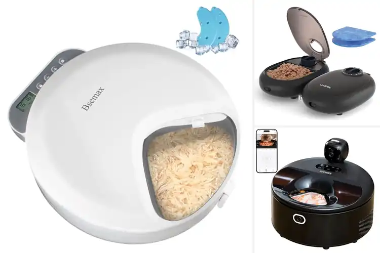 Detailed view of Best Fresh Food Dispensers