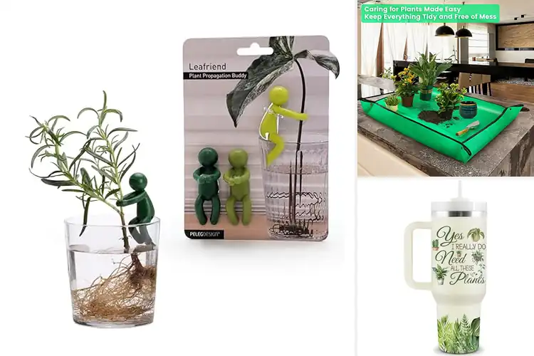 Detailed view of Best Gardening Gifts For Plant Lovers