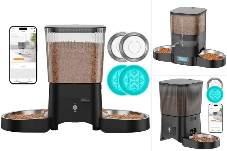 Detailed view of Best HoneyGuaridan Automatic Cat Feeder