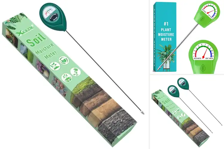 Detailed view of Best Indoor Plant Moisture Meters