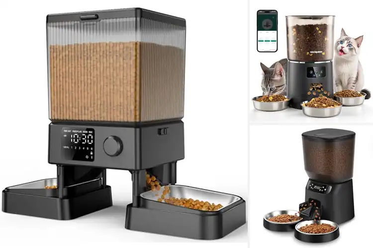 Detailed view of Best Multi Cat Feeders