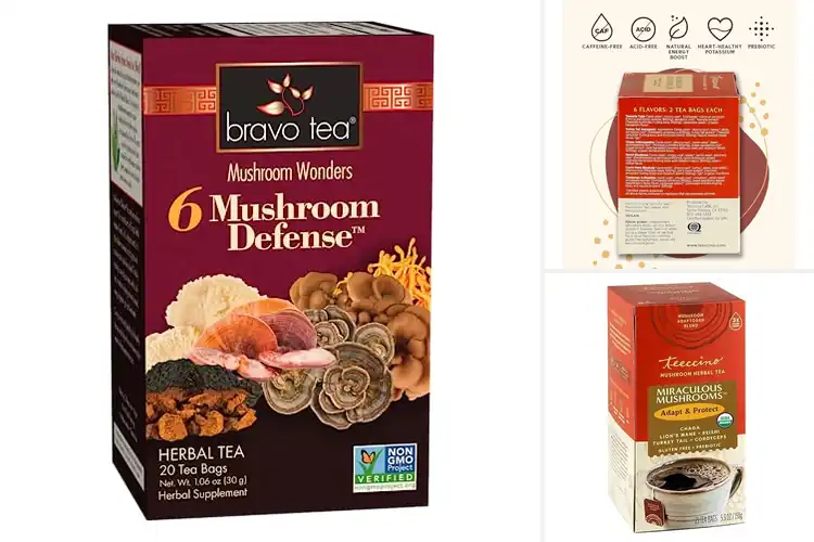 Detailed view of Best Mushroom Teas: 10 Soothing Blends for Wellness & Calm