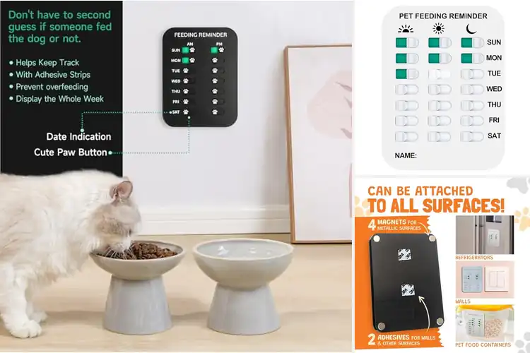 Detailed view of Best Pet Feeding Gifts