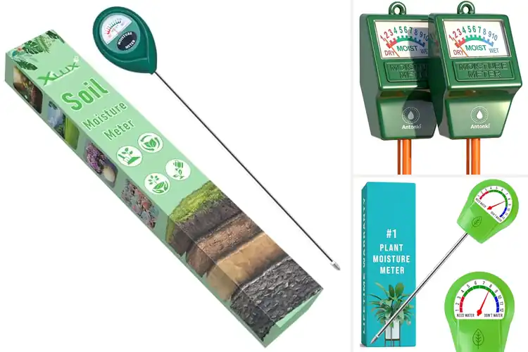 Detailed view of Best Plant Water Meters: Top 10 Picks for Healthy Plants