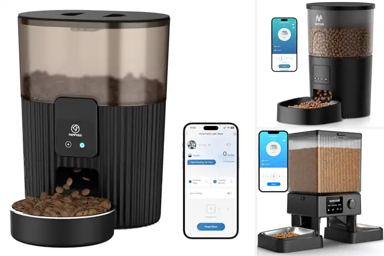 Detailed view of Best Remote Control Cat Feeders