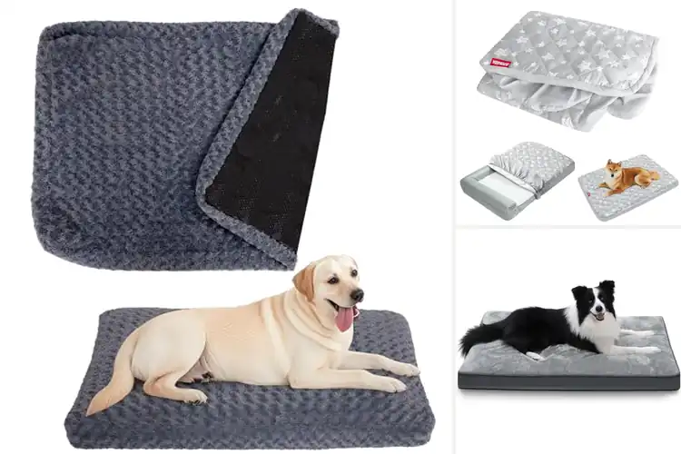Detailed view of Best Removable Washable Cover
