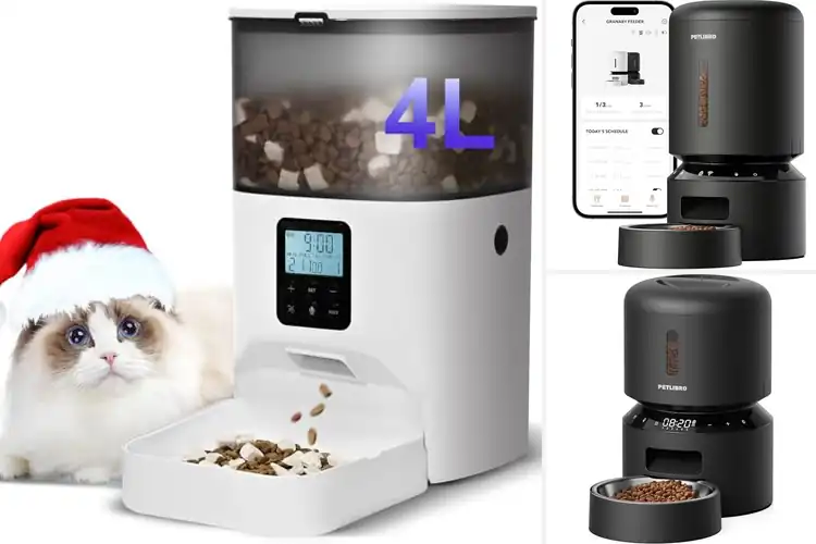 Detailed view of Best Schedule Feeding Cat Feeder