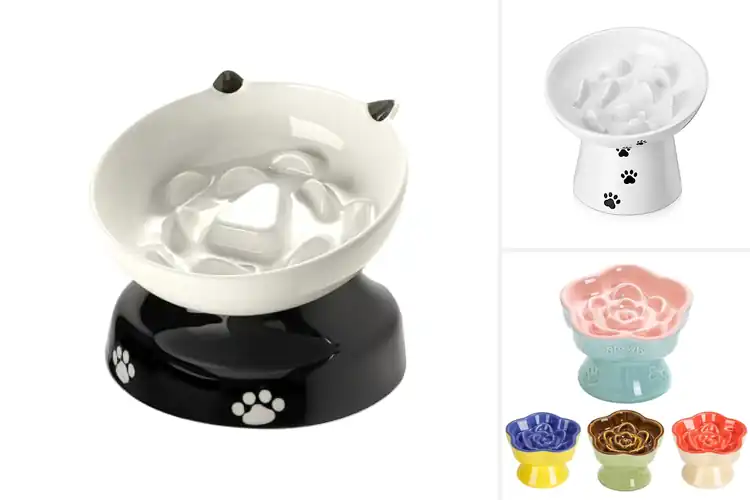 Detailed view of Best Slow Feeder Anti Vomit Bowl