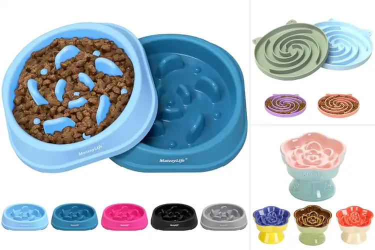 Detailed view of Best Slow Feeder Bowls For Cats: Healthy, Fun & Safe Picks