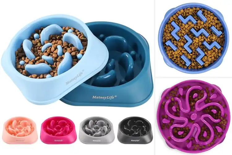 Detailed view of Best Slow Feeder Bowls