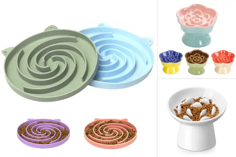 Detailed view of Best Slow Feeder Cat Bowl