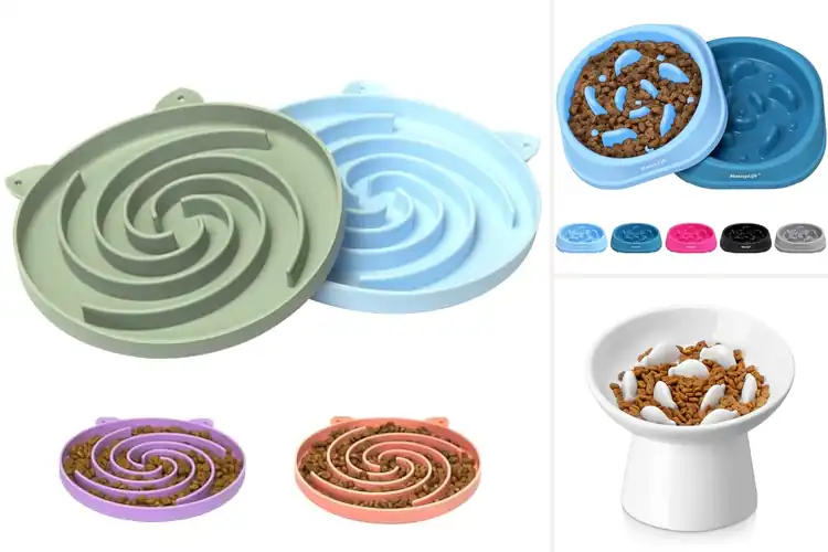 Detailed view of Best Slow Feeder Cat Bowls