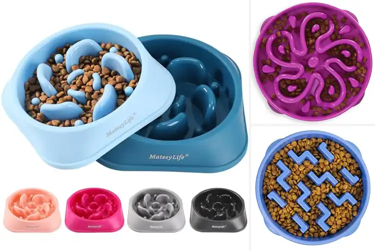 Detailed view of Best Slow Feeders: 10 Fun & Healthy Options for Pets