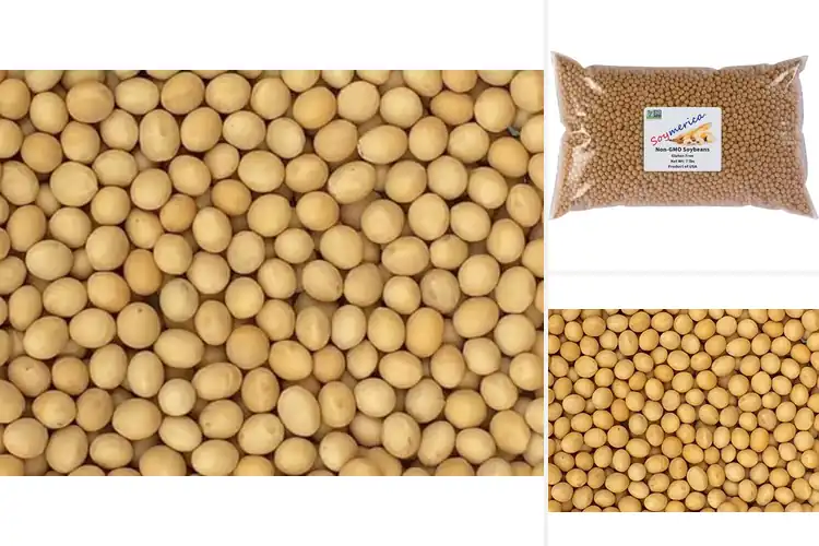 Detailed view of Best Soybean Products