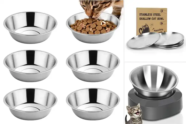 Detailed view of Best Stainless Steel Bowls Cat Feeder